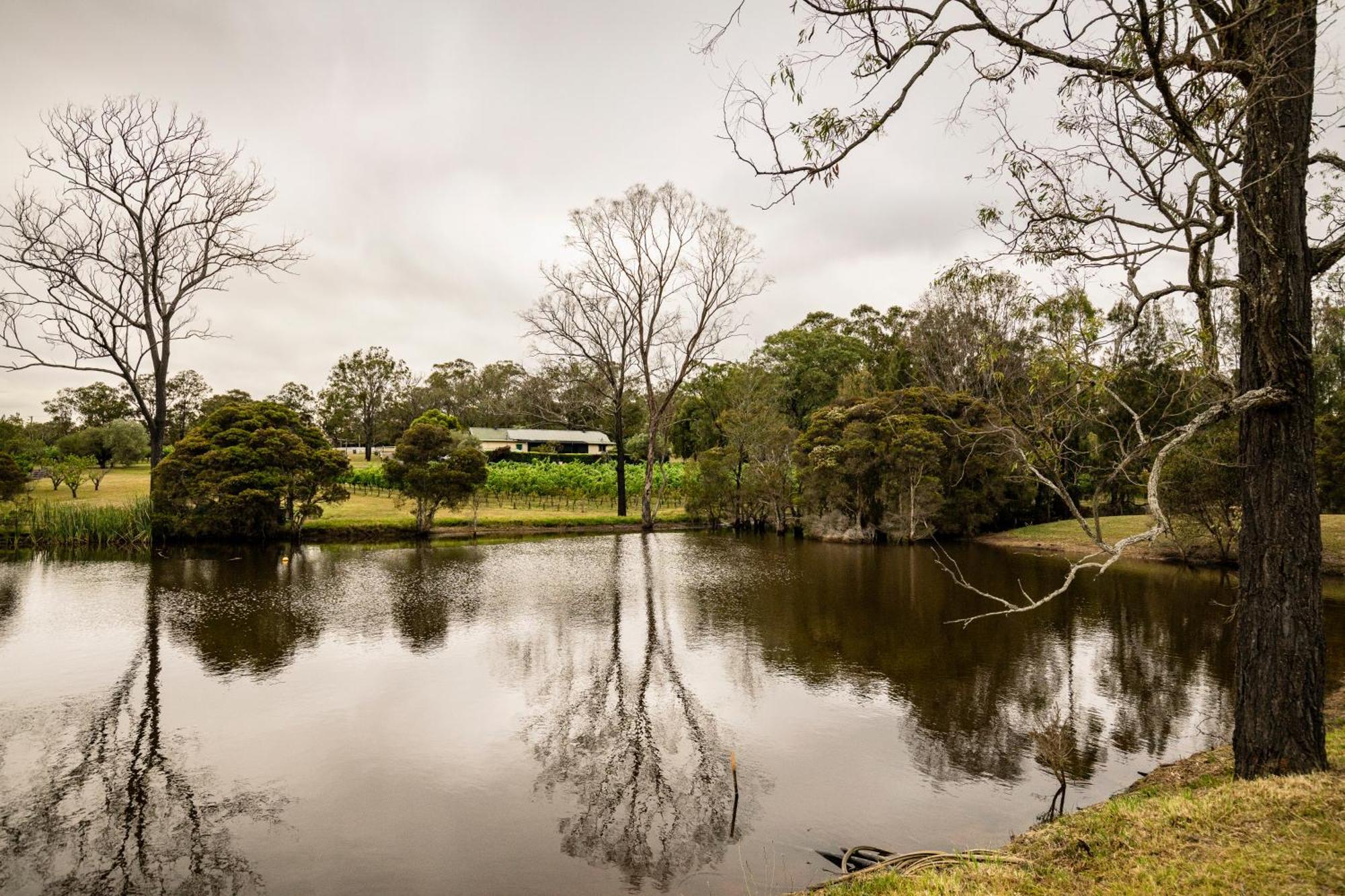 Mccaffrey'S Estate Hotel Pokolbin Luaran gambar